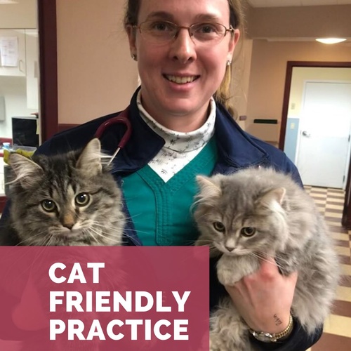 Rutland Veterinary Clinic & Surgical Ctr. Boarding and Kennels Pet